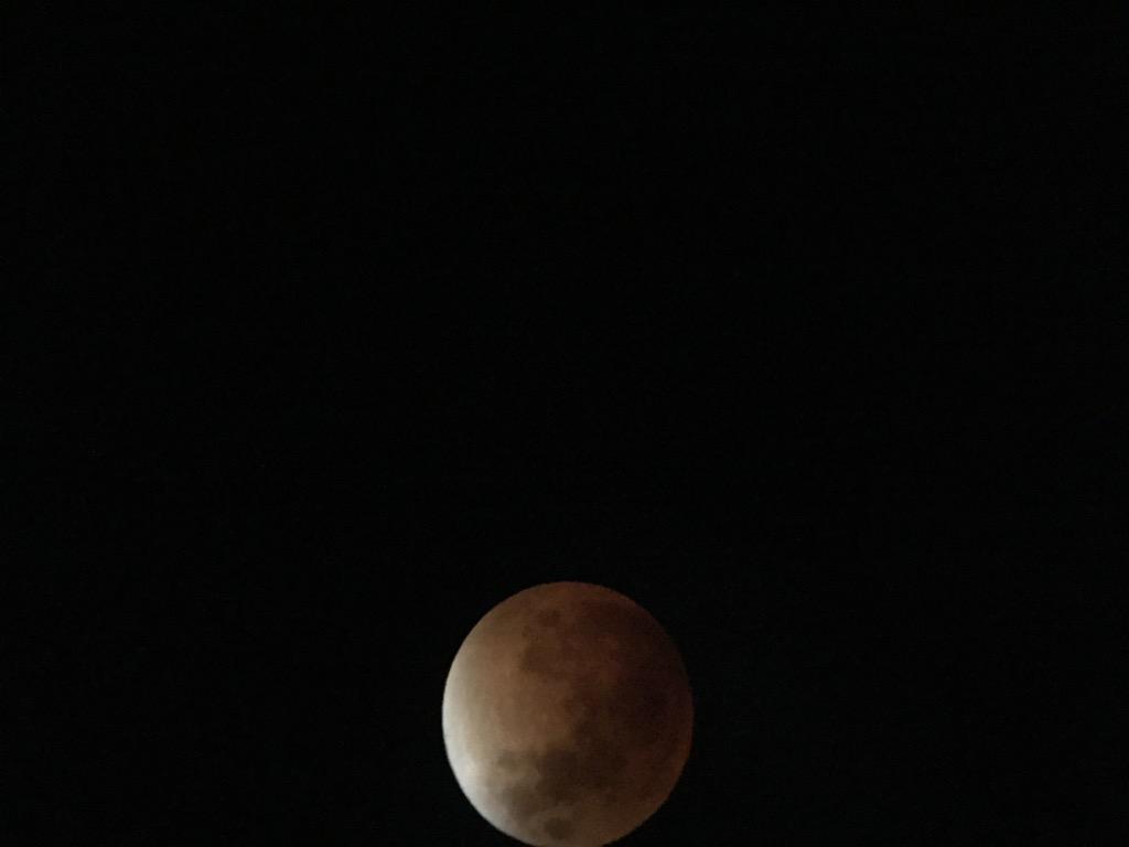 jenb's tweet photo. View of the #SuperBloodMoon through an Orion SpaceProbe 130ST telescope #TotalEclipse #BackyardViewing http://t.co/v1PtGCyu1Z