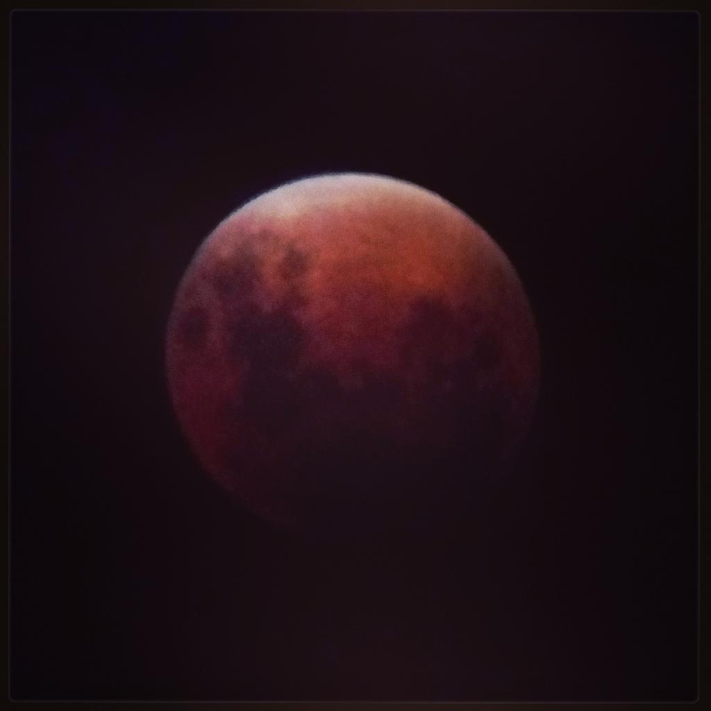 walpolerec's tweet photo. The #LunarEclipse, as seen from Adams Farm tonight! #walpole #walpolerec http://t.co/quRldoEROW