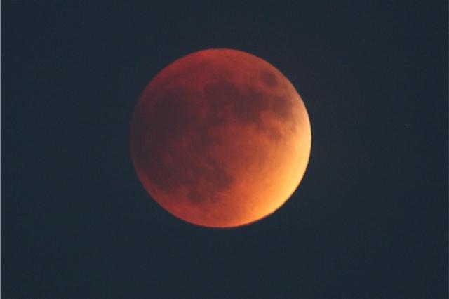 CBSLosAngeles's tweet photo. PHOTOS: #SuperBloodMoon as seen in Aliso Viejo. MORE: http://t.co/qGx03q9Vri (photo credit: Dave Turner/CBS) http://t.co/EwtZ0cvu9N