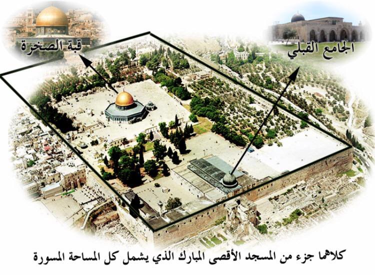 alnnas92's tweet photo. 144 الف متر مربع http://t.co/50JR0QatSW