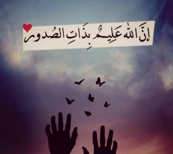 cresp000's tweet photo. http://t.co/JEbQX23NHi