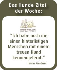 StadthundeCom's tweet photo. Liebe Grüße zum Wochenstart! http://t.co/qewW5WZiOG