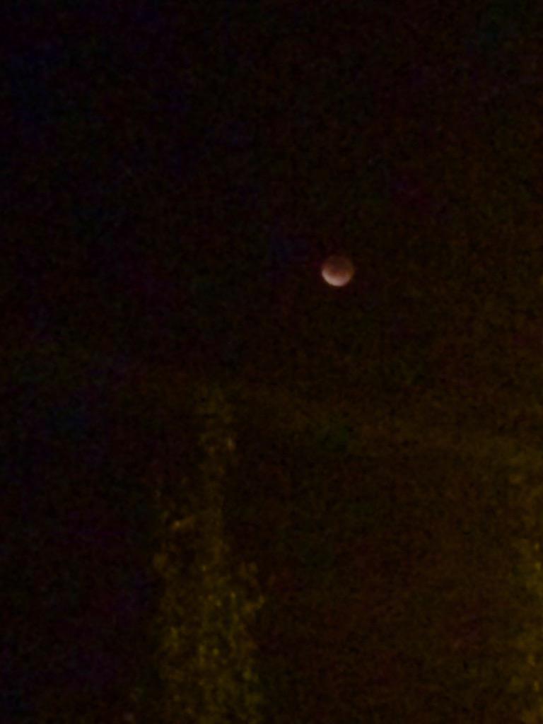 x_marjory_x's tweet image. #Supermoon #SupermoonEclipse #SuperMoonEclipse2015