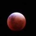 Vany011's tweet photo. #SuperEclipseTN. #Eclipse #SuperBloodMoon  #LunaEnSangre http://t.co/mogQfGTpS3