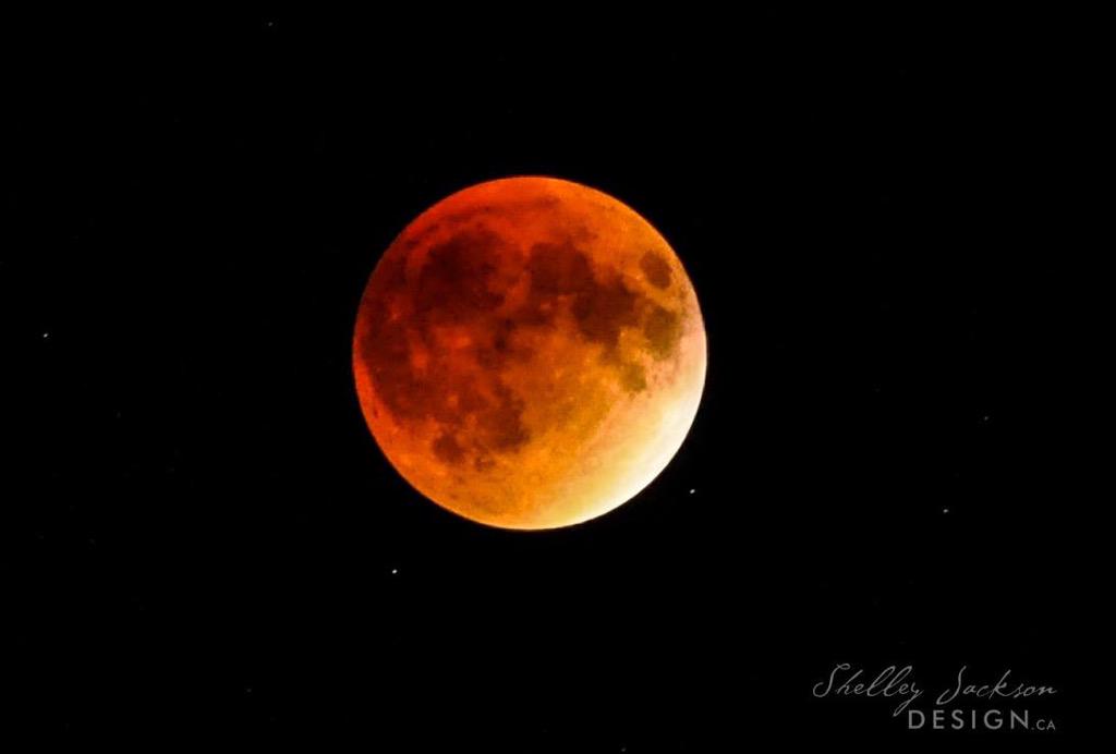 petalcarmiel's tweet image. Grey grey county moon shots of eclipse #SuperMoonEclipse2015 #SuperBloodMoon