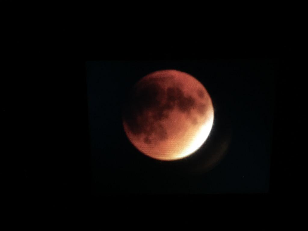 wedevag's tweet photo. #SuperBloodMoon Tonight from Elburn, IL. http://t.co/cAqYjsmsm6