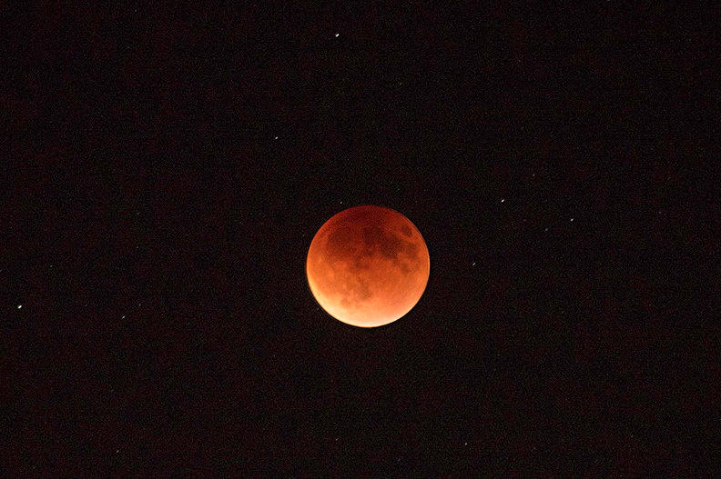 ObservingSpace's tweet photo. Lunar eclipse & stars
Credit: A. Leonard https://t.co/AHyl6giobC #LunarEclipse #SuperBloodMoon #supermoon http://t.co/la3GlU0RZW