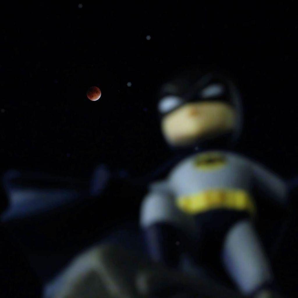 ItsTCone's tweet image. Someone got in the way of my #superbloodmoon pic #bloodmoon #batman #lootcrate ift.tt/1GbklFy