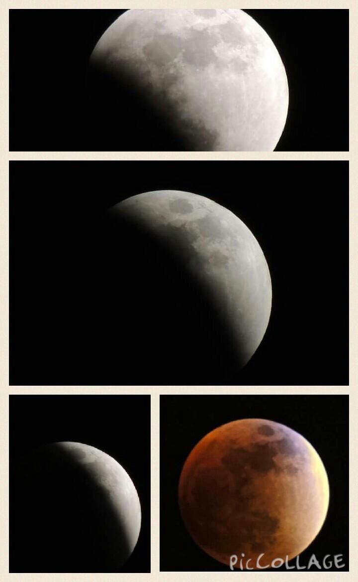 #Eclissi da #AmericaLatina #SuperBloodMoon  #EclipseLunar