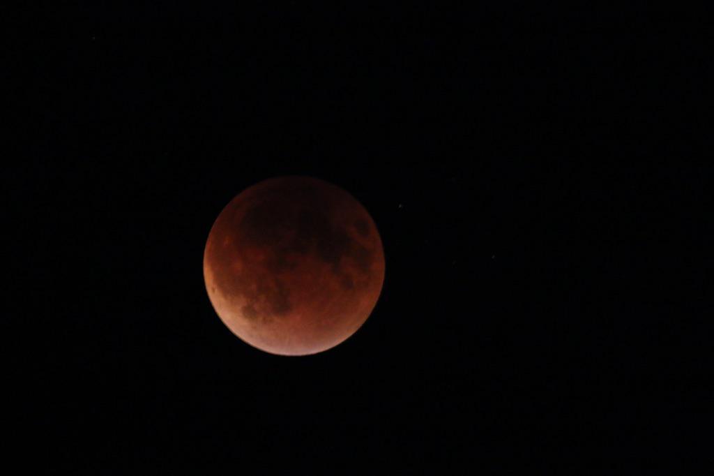 hollyroy's tweet photo. Total eclipse of the #Moon seen in N AB! Thanks @DougRoy2 for sharing your amazing pic! #Dad http://t.co/DA9nnN26sL