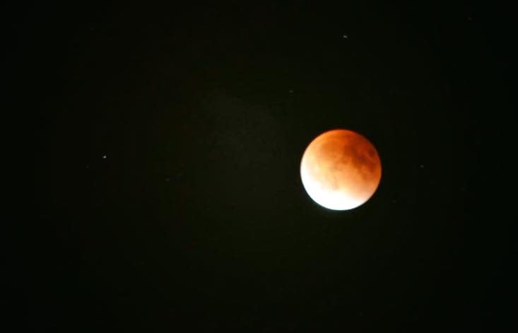 pumapurdue's tweet photo. @LifeAtPurdue Meteorology Major @alex_marmo caught this wonderful picture of the #bloodmooneclipse. http://t.co/llPYB7NKzj