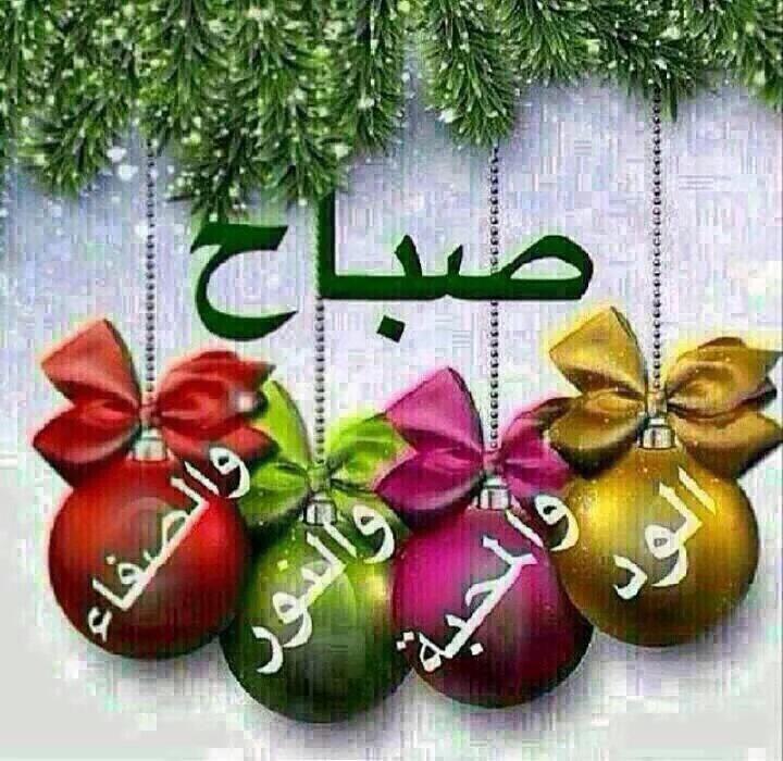 أصبح عليكم اخواني أخواتي بهذه الكلمات الجميله مثل نفوسكم الجميله