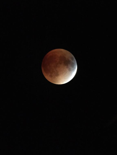 PalmazonSupport's tweet image. Tonight's Supermoon Eclipse #Eclipse #supermoon #LunarEclipse
