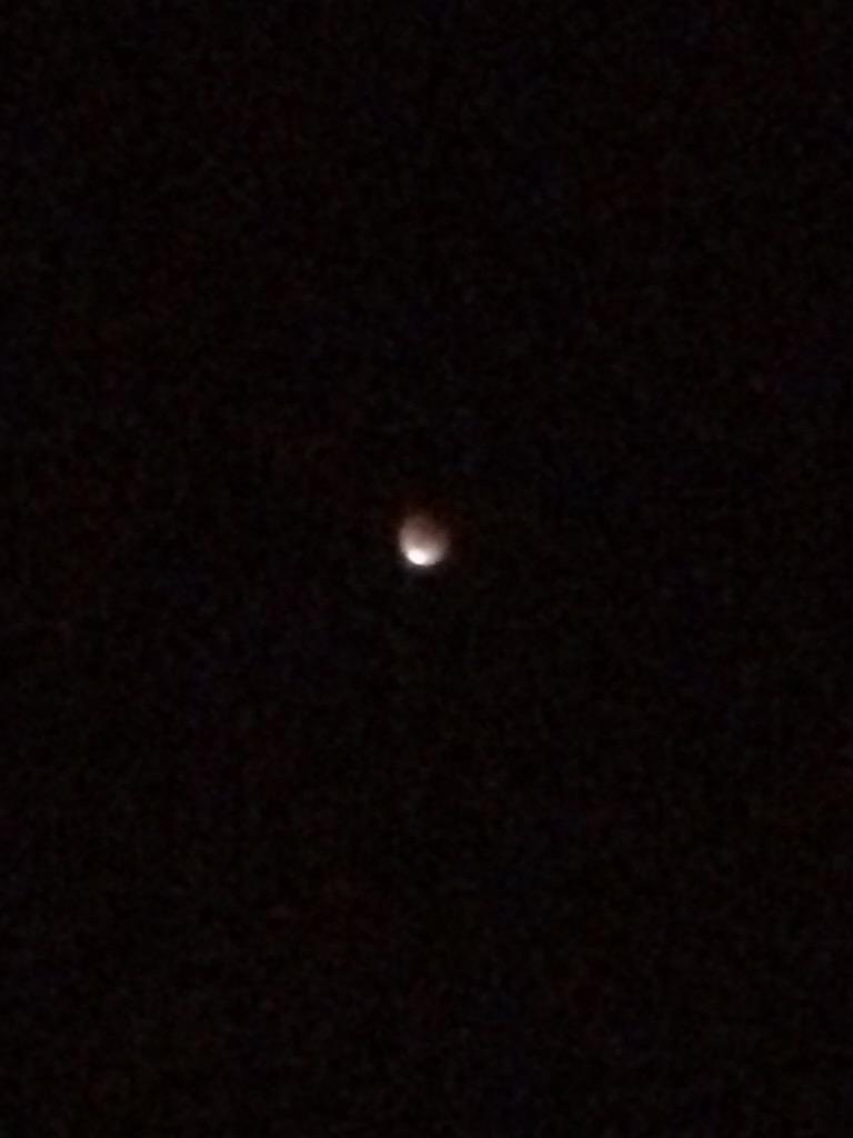 wyattscottk's tweet photo. Great HD pictures of the #bloodmoon.. iPhone cameras truly capture the beauty of a night like this 😂 http://t.co/vqIyI8e54B