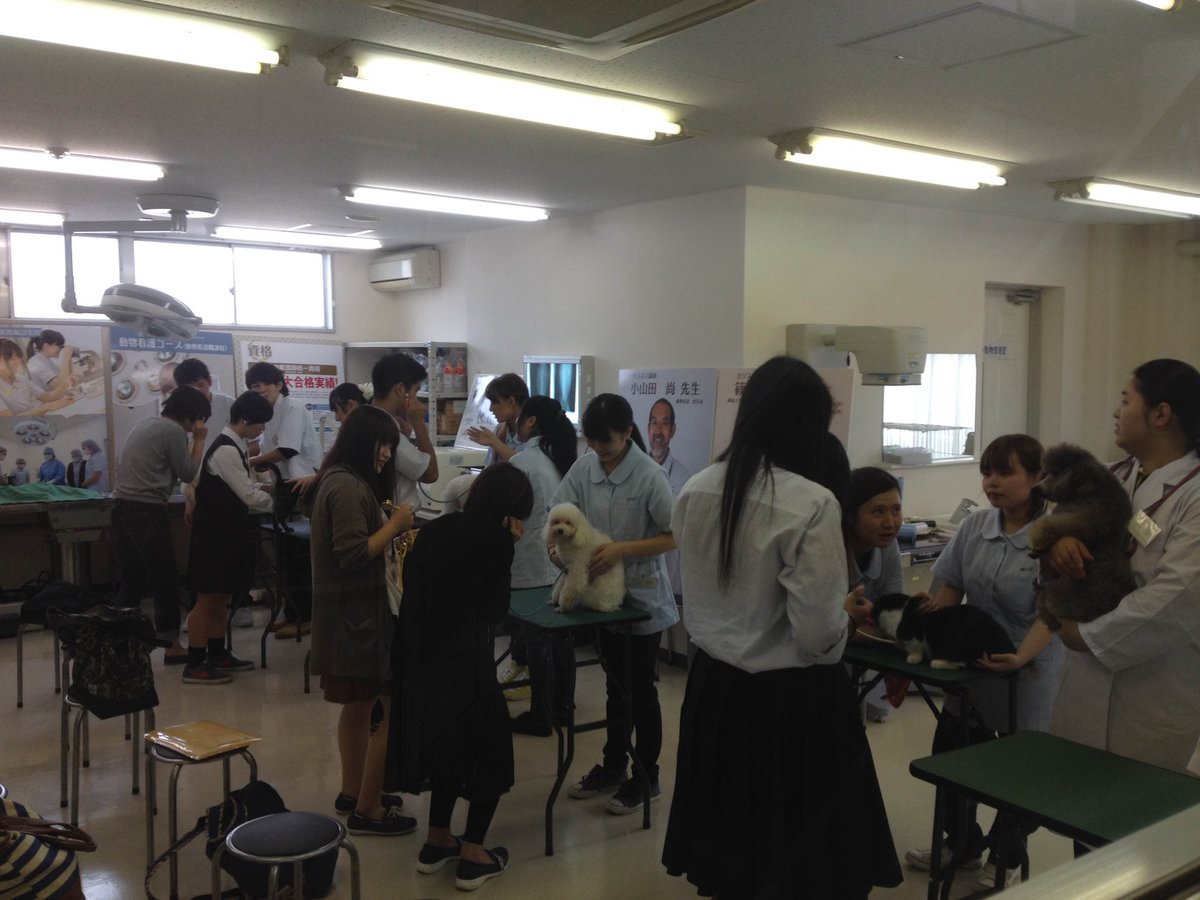 学校法人mgl学園 Twitterren 土曜日のオープンキャンパスも楽しかったですね みなさん 是非またいらしてください 次回は10 3 土 です 高崎動物専門学校10 30 12 30 太田動物専門学校14 00 15 45 Http T Co U0bb4uhees 学校法人mgl学園 Twitterren 土曜日のオープンキャンパスも楽しかったですね みなさん 是非またいらしてください 次回は10 3 土 です 高崎動物専門学校10 30 12 30 太田動物専門学校14 00 15 45 Http T Co U0bb4uhees