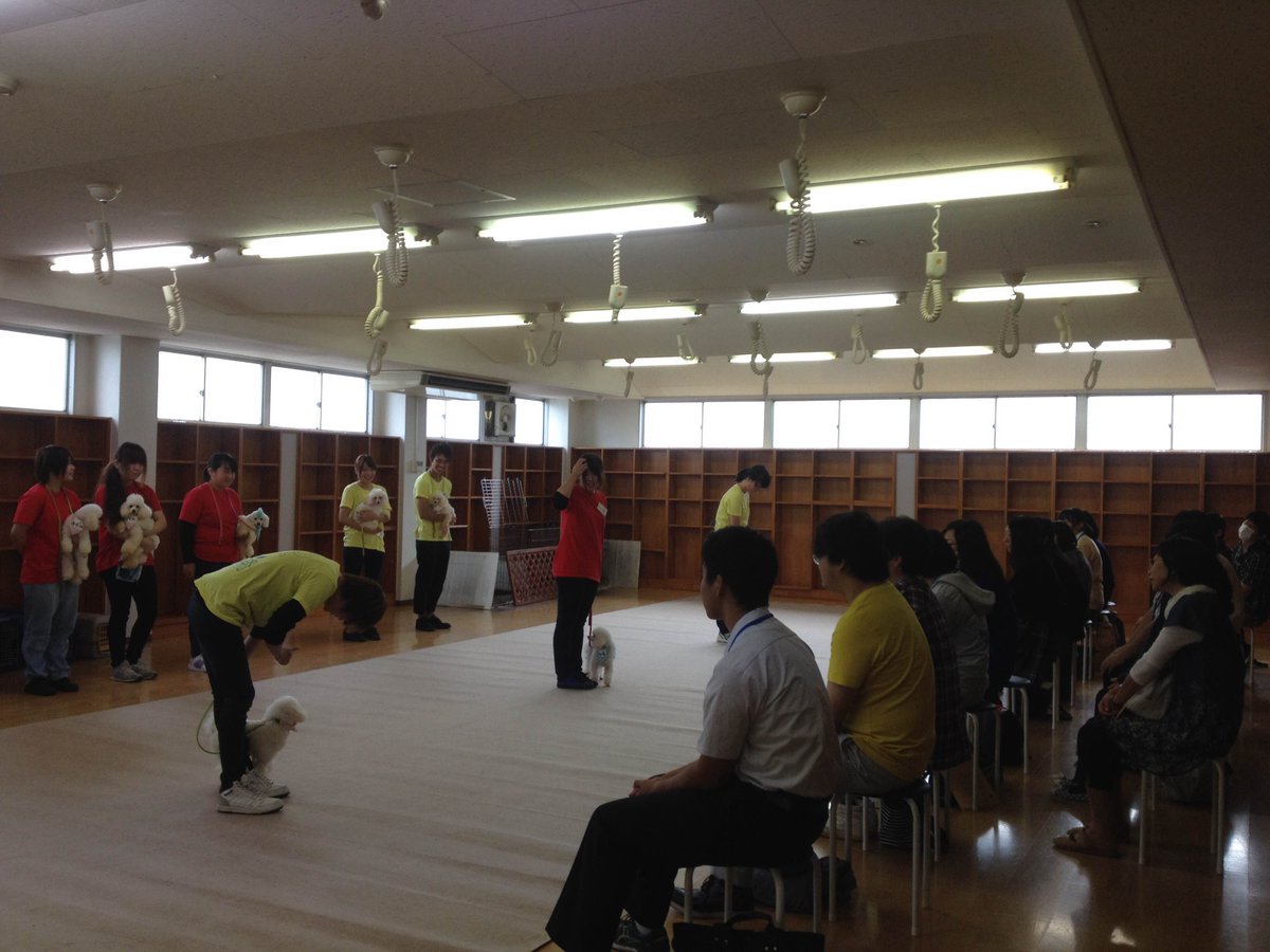 学校法人mgl学園 Twitterren 土曜日のオープンキャンパスも楽しかったですね みなさん 是非またいらしてください 次回は10 3 土 です 高崎動物専門学校10 30 12 30 太田動物専門学校14 00 15 45 Http T Co U0bb4uhees 学校法人mgl学園 Twitterren 土曜日のオープンキャンパスも楽しかったですね みなさん 是非またいらしてください 次回は10 3 土 です 高崎動物専門学校10 30 12 30 太田動物専門学校14 00 15 45 Http T Co U0bb4uhees