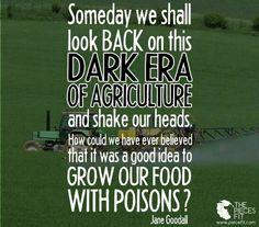 bijenbrigade's tweet photo. Anything we are putting into the earth we are literally putting in our own bodies and the bodies of our children >>> http://t.co/JjTrQ9lPmk