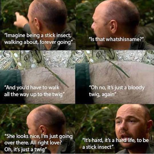 ZOO's tweet photo. Classic Karl Pilkington http://t.co/anN47OjyOX