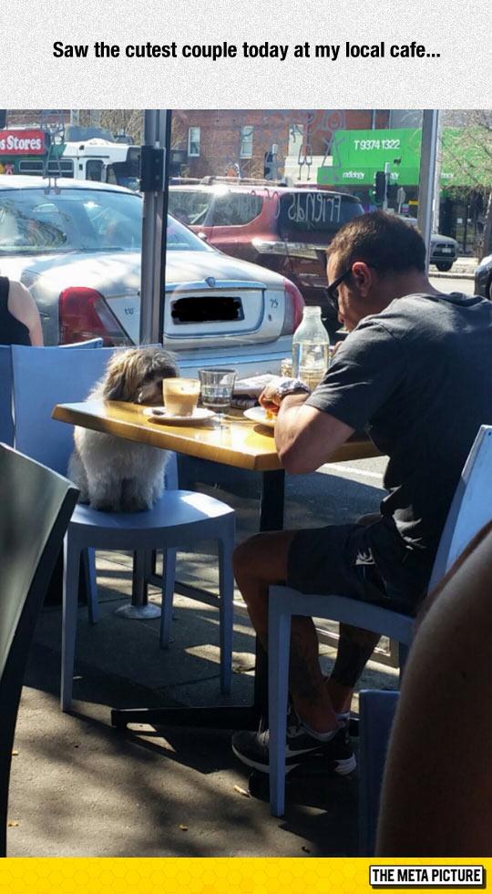 "Saw the cutest couple today..."