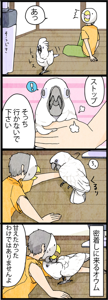 違う、そうじゃない 