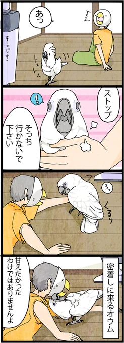 違う、そうじゃない 
