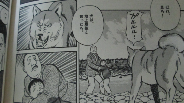 んた در توییتر 松戸署の紀州犬のニュースで Masterキートンの 長く暑い日 という話を思い出した 犬は地上最強 Http T Co Cmhwmu3e8t