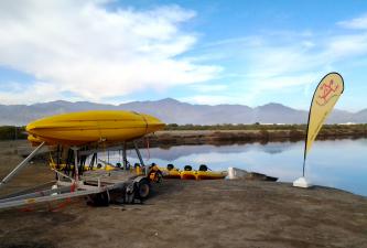 absoluteae's tweet photo. Did you know our Kalba camp also offers Eco-friendly water-sports in the beautiful mangroves of Kalba? #AdventureAE http://t.co/1OQ2DJO4Ka