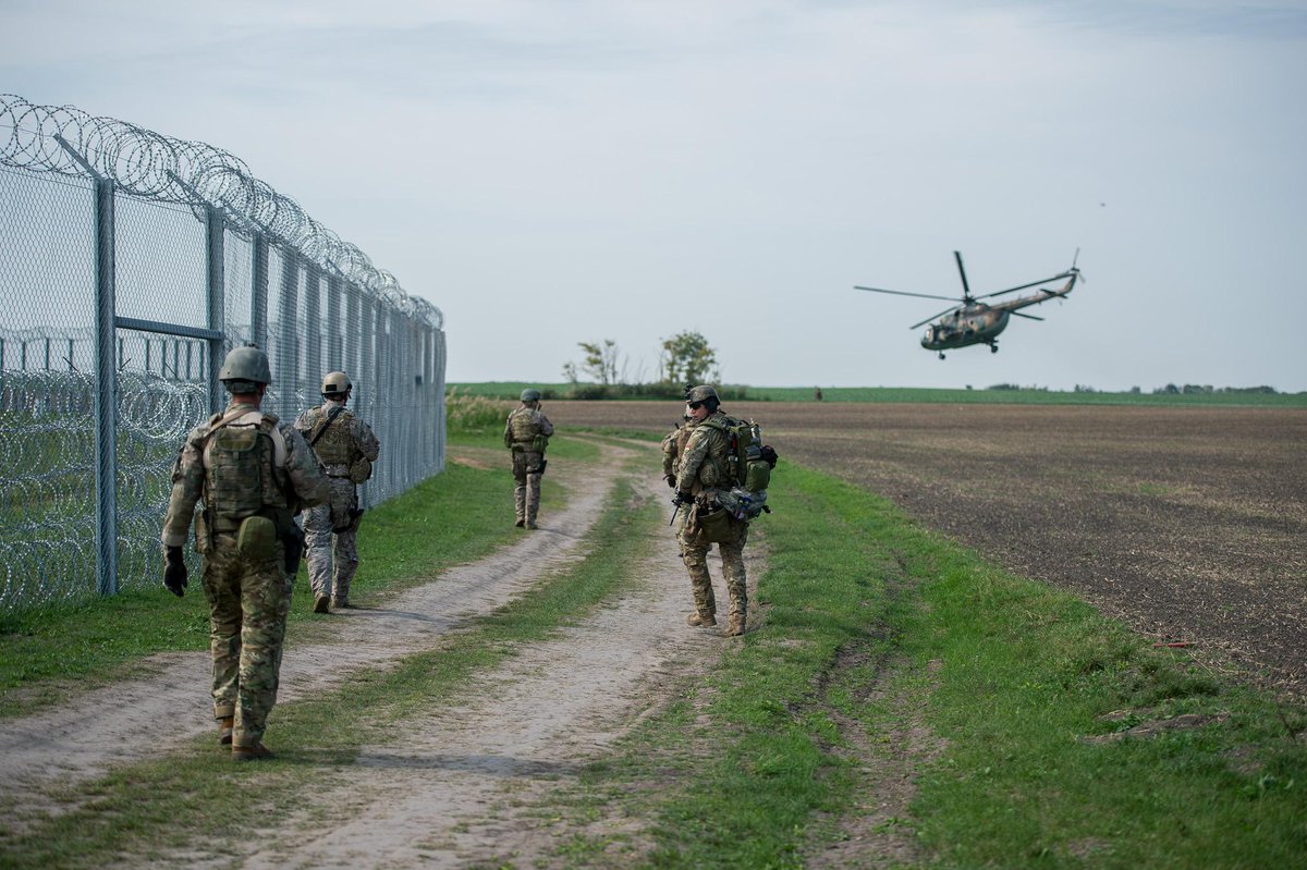 Eingebetteter Bild-Link