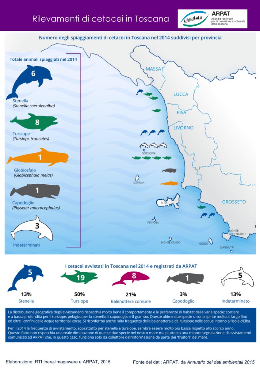 Comune San Vincenzo tweet media