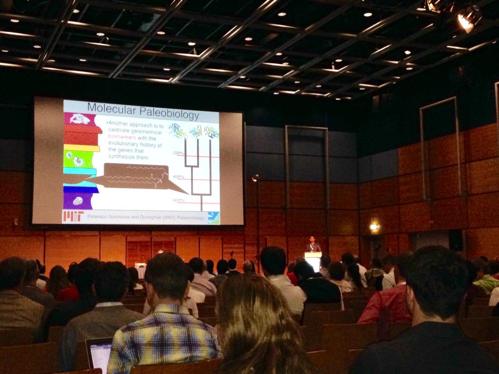 Complex Life NAI tweet media