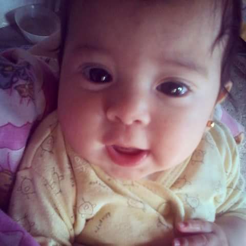 maria rosa fernandez tweet media