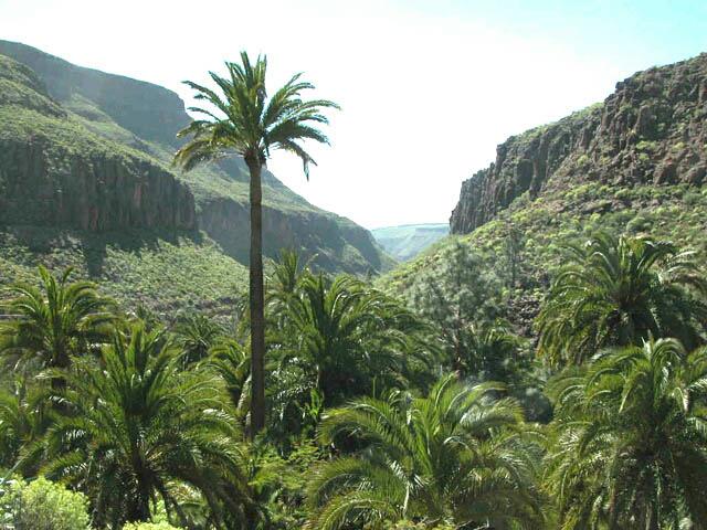Feliz miércoles amigos! Desde Gran Canaria nos regocijamos admirando este paisaje <a href="/SoydeGC/">SoydeGranCanaria</a> <a href="/GranCanariaLp/">Gran Canaria</a>
