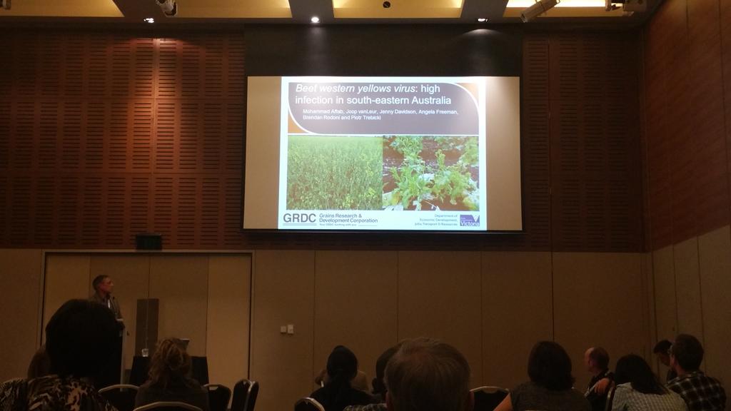APPS_2015's tweet photo. Mohammed Aftab, BWYV (syn TuYV) in south-east Australia #APPS2015 #APVW #plantvirology http://t.co/jMkksfzlOk