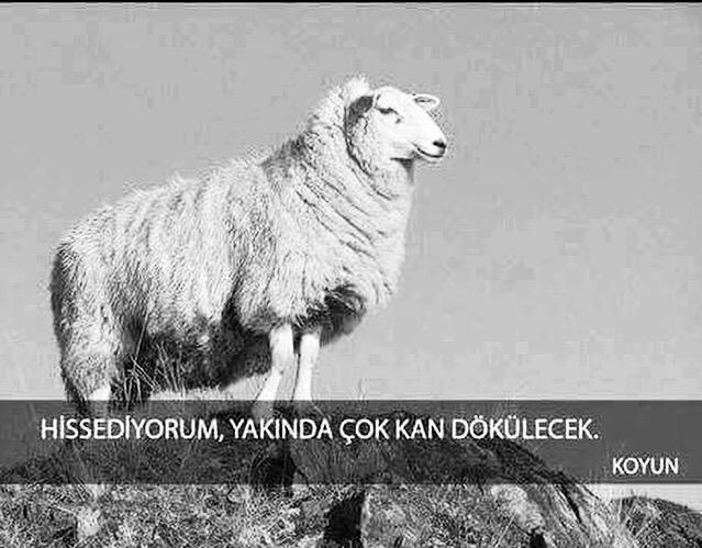Kurban is coming 😏😁😁