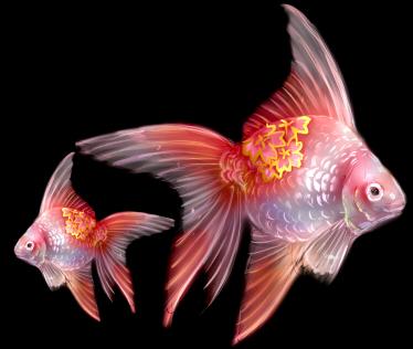 古森風歌 Auf Twitter 和柄が綺麗な金魚が出てくる夢を見ました こんな感じでした 描いてみた Http T Co Vwinkl8q0o 金魚 Illust イラスト Http T Co Rbtunjhqhx 古森風歌 Auf Twitter 和柄が綺麗な金魚が出てくる夢を見ました こんな感じでした 描いてみた Http T Co Vwinkl8q0o 金魚 Illust イラスト Http T Co Rbtunjhqhx