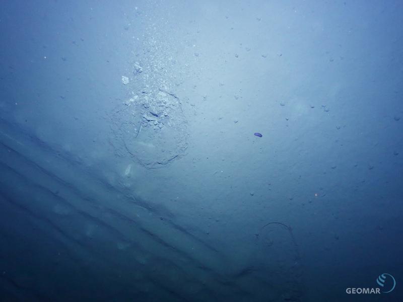 GEOMAR_en's tweet photo. 26yrs old plough marks on the seabed of the E-#Pacific. What they tell us: http://t.co/SHWsFMhSQP @jpioceans #EADSM http://t.co/2iR02e4UsV