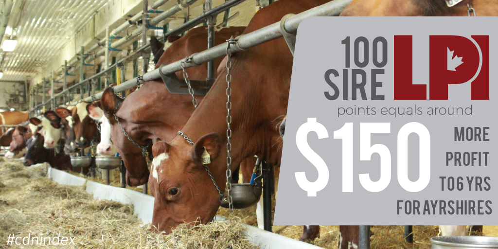 Lactanet_Canada's tweet photo. How is LPI related to profit for Ayrshires? #CdnIndex #LPI @AyrshireCanada http://t.co/kQsALZhzXk