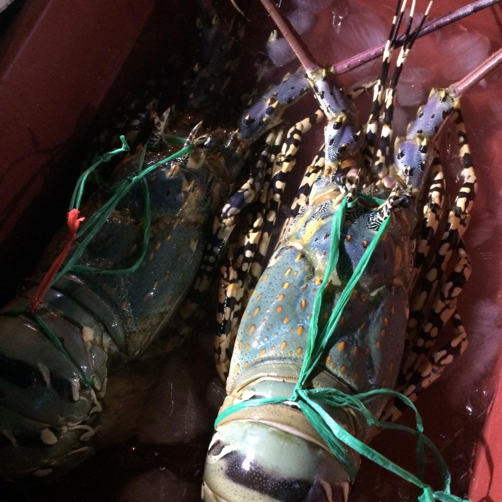 natasyaidris's tweet photo. @KakiTravels_ tadaAaa mlm2 party seafood kat Sabah #BLSabah http://t.co/3ZUsg3bqdK