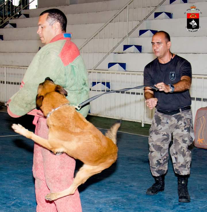 BAC_CANIL's tweet photo. Mais uma manhã de muito trabalho.
Treinamento duro, combate fácil.
Bom dia! #OperacoesComCaes #K9 http://t.co/gheOD4k6DQ