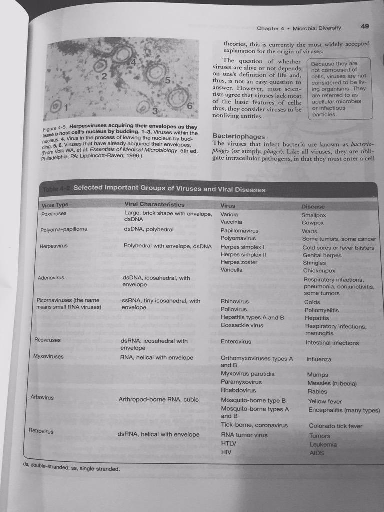 omegprazole's tweet photo. What I studied with the cool stud buds! 🍤 @jtalquizar @alyncole27 #HAHAHAHA #forthetweet #vsco http://t.co/FdsbdOIjh8