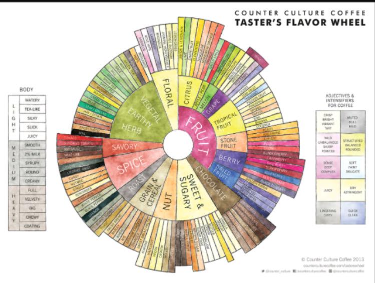 PerfectDailyG's tweet image. How do we introduce consumers to the concept of #cupping? @counter_culture bit.ly/cuppingc @TastifyApp