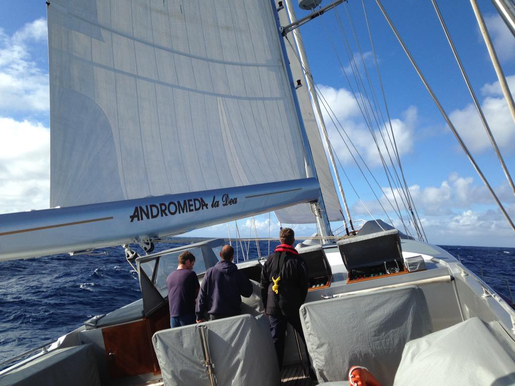 Sukey Fenwick tweet media