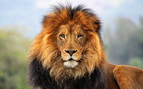 AlbaRodelgo's tweet photo. @GloriaPerea30 @CursoMiriam http://t.co/5elfdqfmnQ