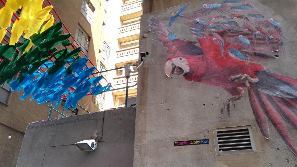 Julia_Rice1's tweet image. Just visited the #CapitecColorRun #parrotinstalation @playbraamies @NeighbourgoodsM @joburgstyle