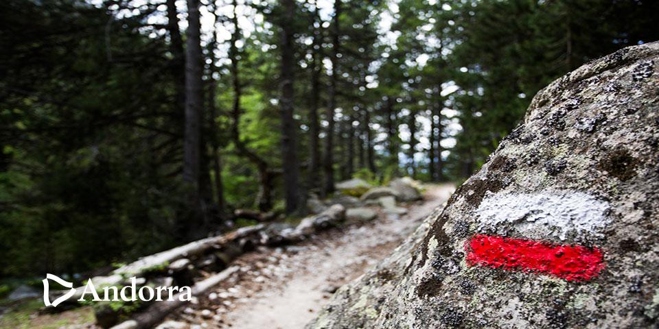 Vés a la Vall del Madriu i gaudeix de la varietat d'espècies que podràs trobar! bit.ly/1FRd3tH #visitandorra