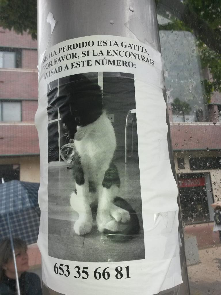 Wabi_Sabilunga's tweet photo. Por parquesol, ayuda y difusión. http://t.co/S5LsqXtRcF