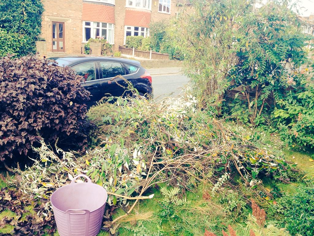 aggiesheppard's tweet image. Today, the shrubs in the front garden are getting a looong overdue haircut #operationdeclutter