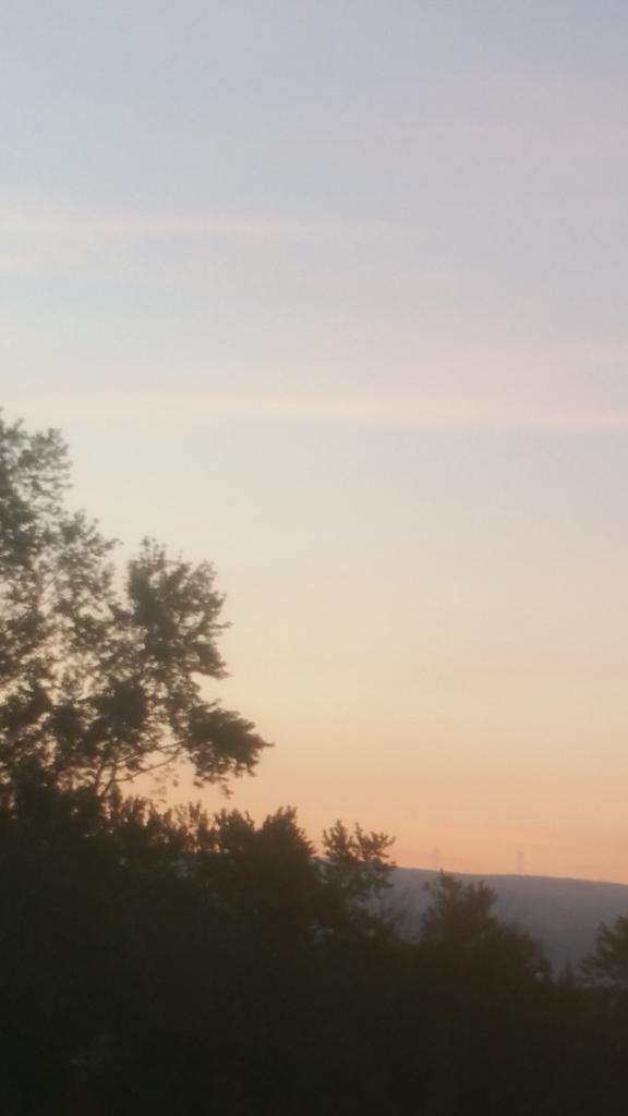 FemOutLoud's tweet photo. #RandomWindowSnap windmills at dawn... @MichStud @GRY1111 @s4s2013 @SquiggyGee @ImSoRav3n @cyleeruse @FemmeDiva http://t.co/6xzcfiI84c
