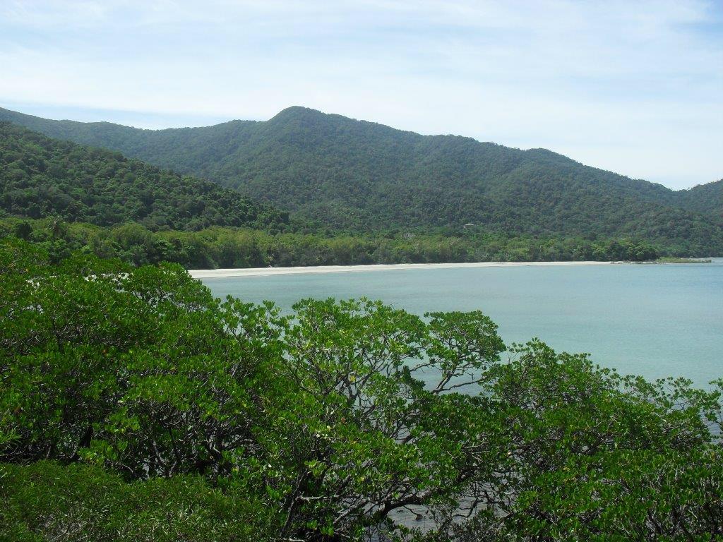 Flash_Packer_'s tweet photo. Cape Tribulation, one of the most scenic places in the world http://t.co/um1QX3tTzN