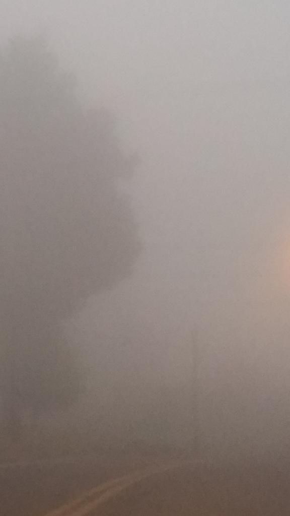 FemOutLoud's tweet photo. #RandomWindowSnap Misty morning @MichStud @GRY1111 @s4s2013 @SquiggyGee @ImSoRav3n @cyleeruse @FemmeDiva @charm972 http://t.co/MJHV1IKscD